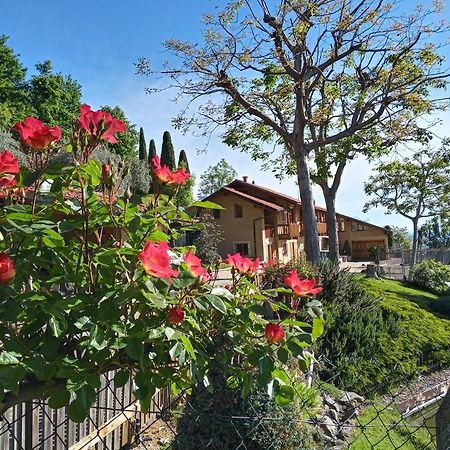 L'Albore Costigliole Saluzzo Екстериор снимка